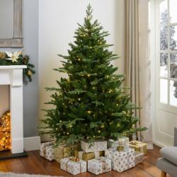 Christmas Tree 7ft 6ft 5ft 4ft Real Potted Live Christmas Tree Nordmann Fir